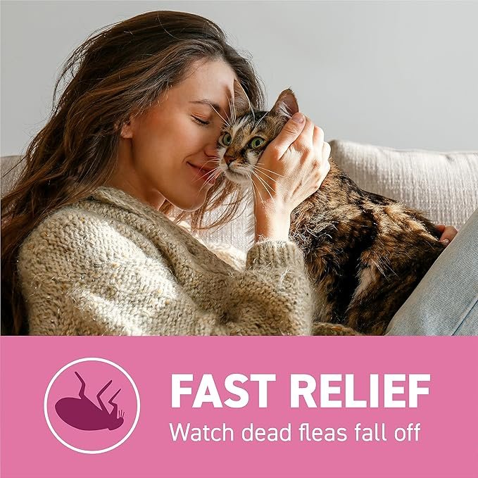 2 Capstar (nitenpyram) for Cats, Fast-Acting Oral Flea Treatment for Cats 2-25 lbs, Vet-Recommended Flea Medication Tablets Start Killing Fleas in 30 Minutes, 6 Doses