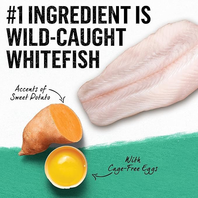 2 Purina Beyond Natural Grain Free Dry Cat Food Whitefish and Egg Recipe With Added Vitamins, Minerals and Nutrients - 3 lb. Bag