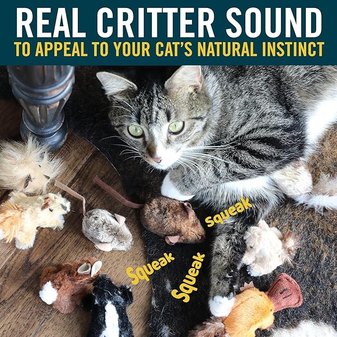 2 OurPets Play-N-Squeak Mouse Hunter Cat Toy (Interactive Cat Toy & Catnip Toy with Real Mouse Electronic Sound) Perfect Toys for Indoor Cats with Catnip