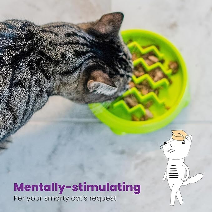2 Catstages Kitty Slow Feeder Cat Bowl, Green