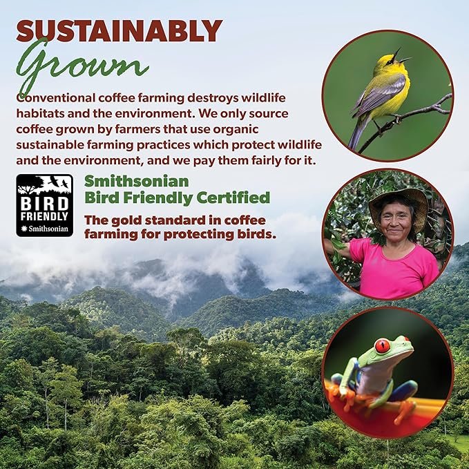 5 Java Planet Organic Guatemala Single Origin Low Acid Coffee - Whole Bean Medium Roast (1 lb, Pack of 1), Smooth Full Flavored Coffee Bean, Smithsonian Bird Friendly