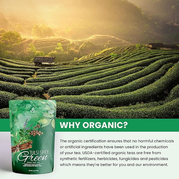 3 Gardenika Organic Green Loose Leaf Tea with Tulsi, Cloves and Cinnamon – Kosher, No Natural or Artificial Flavors – 4 oz