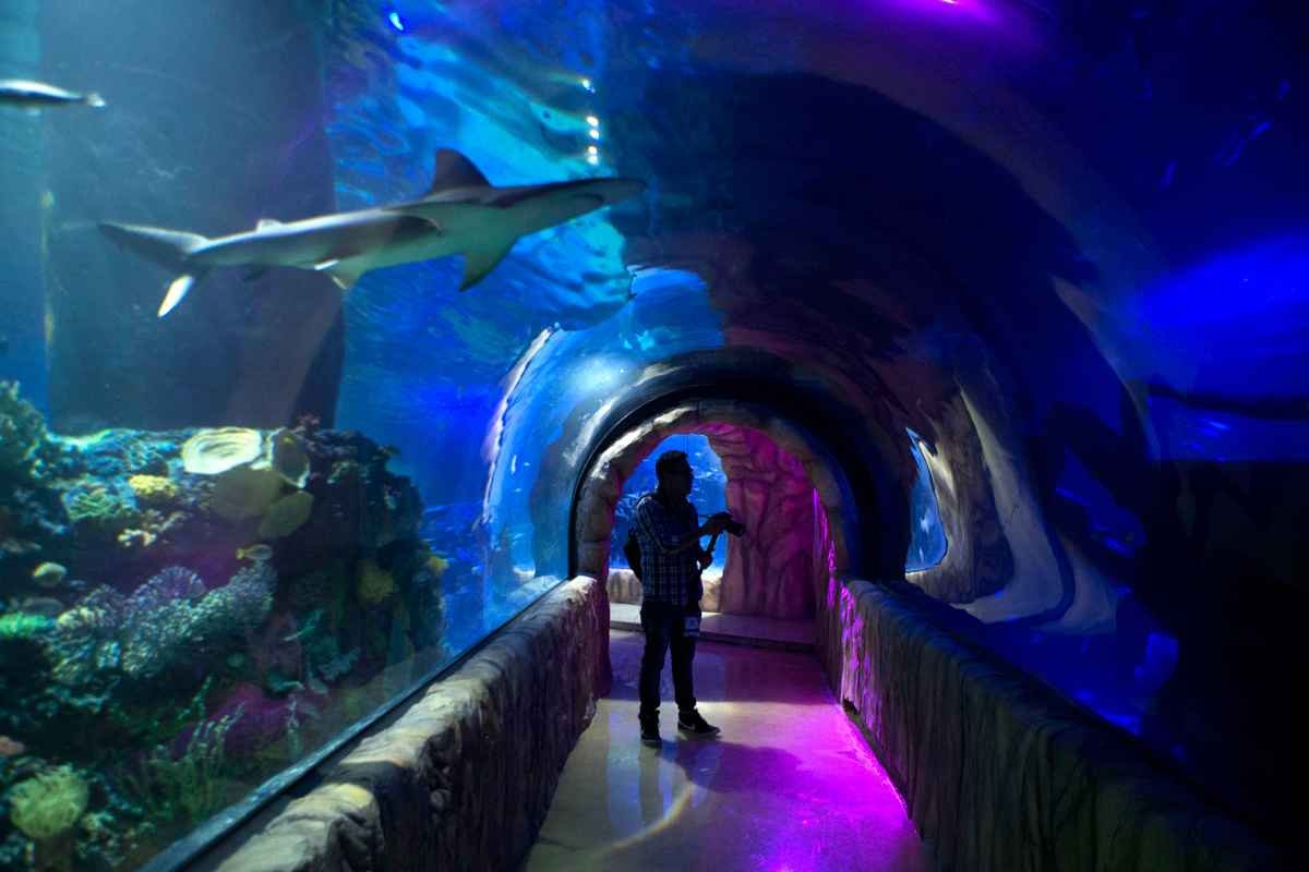 https://marbella.mexitours.travel/wp-content/uploads/2020/07/acu1_000-1.jpg