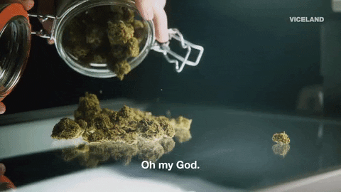 Jar of WEED being poured out.