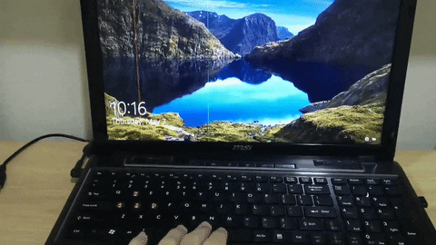 giphy.gif