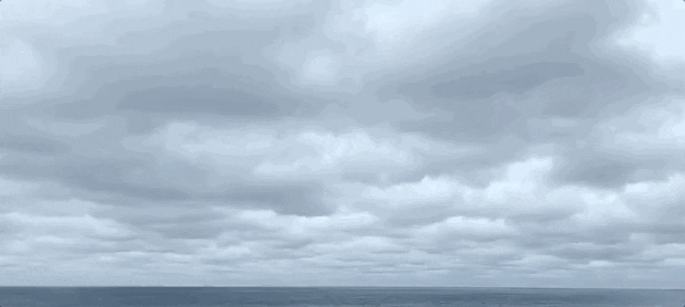 giphy.gif