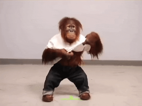 Monkey-calculator GIFs - Get the best GIF on GIPHY