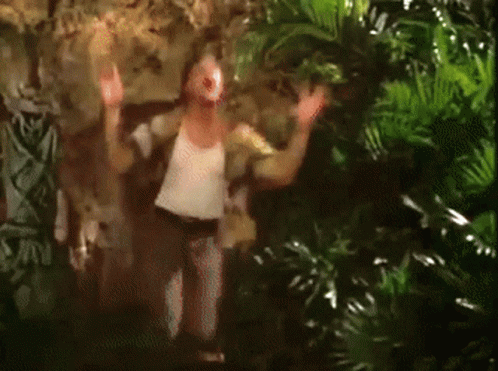 untitled.gif