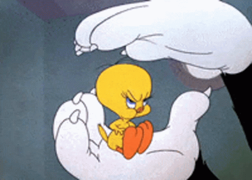 untitled.gif