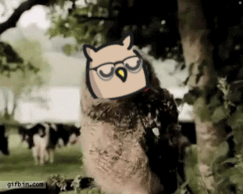 untitled.gif