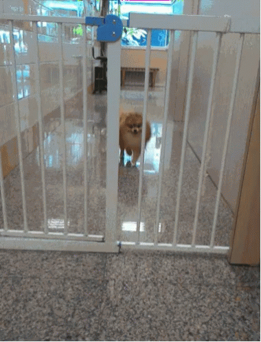 untitled.gif