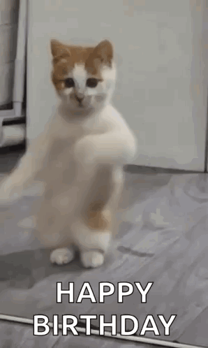 untitled.gif
