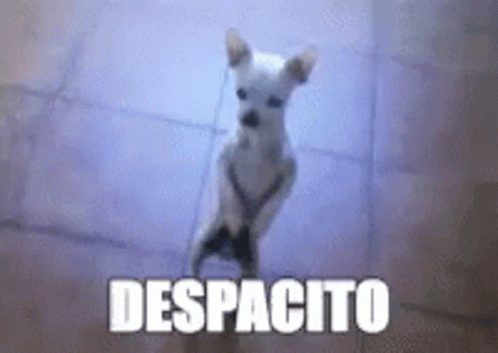 untitled.gif