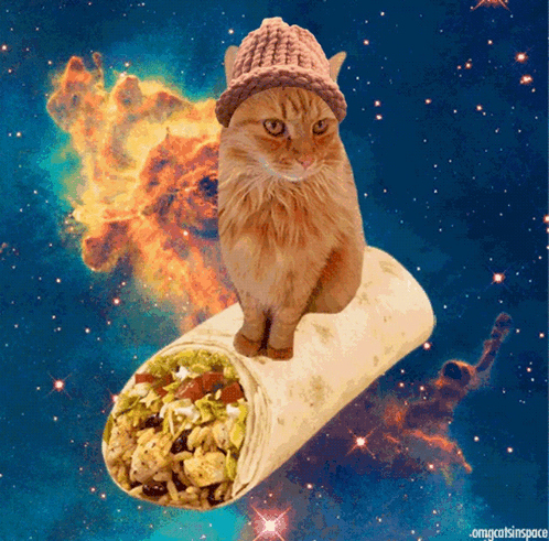 untitled.gif