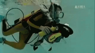 untitled.gif