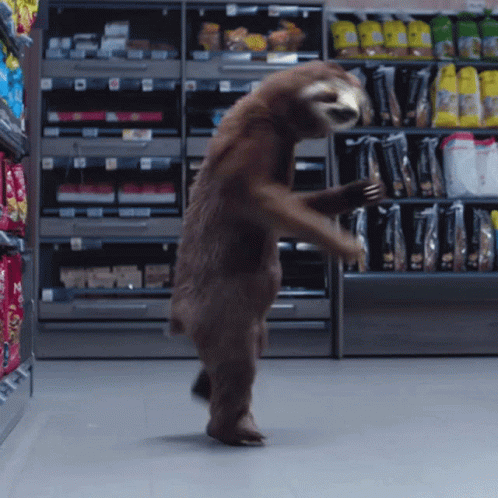 Dancing Sloth: Listens to Cryptoradio.FM on VIMM.TV! WHAT ELSE?!