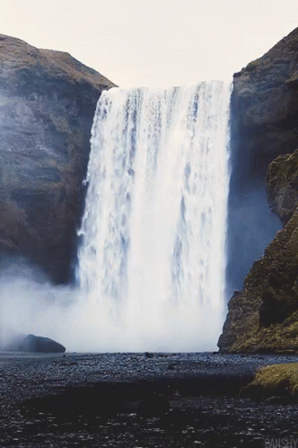 untitled.gif