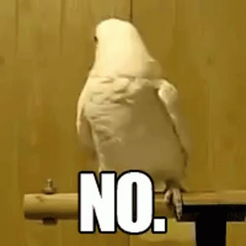 untitled.gif