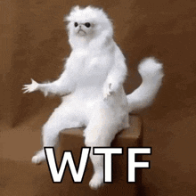 untitled.gif
