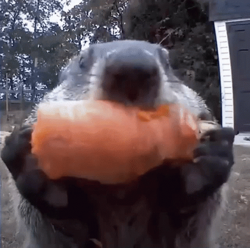 untitled.gif