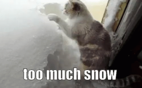 untitled.gif