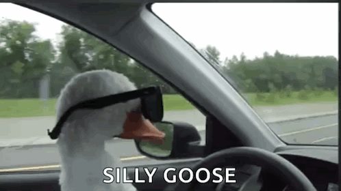 untitled.gif