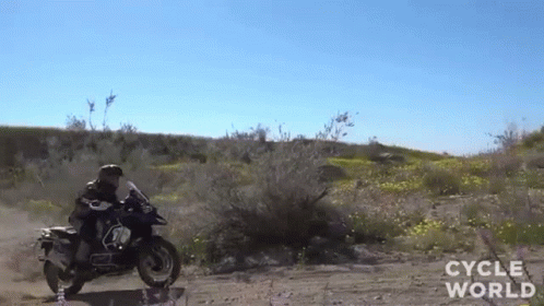 untitled.gif