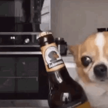 untitled.gif