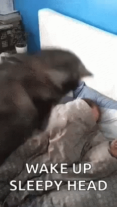 untitled.gif