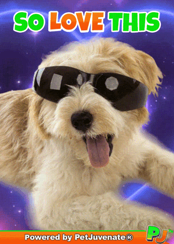 untitled.gif