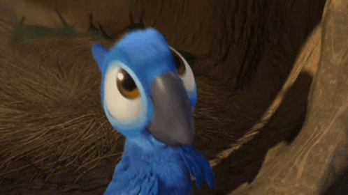 untitled.gif