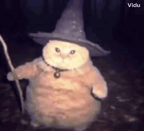 untitled.gif