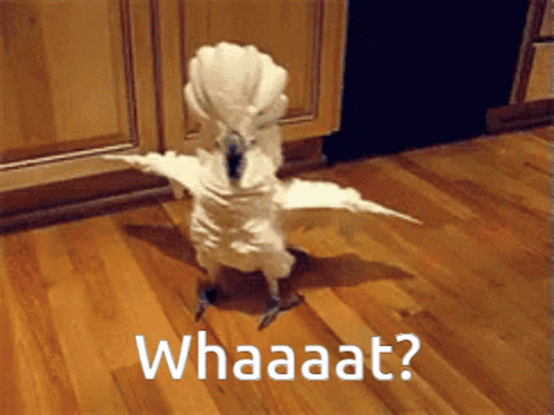 untitled.gif