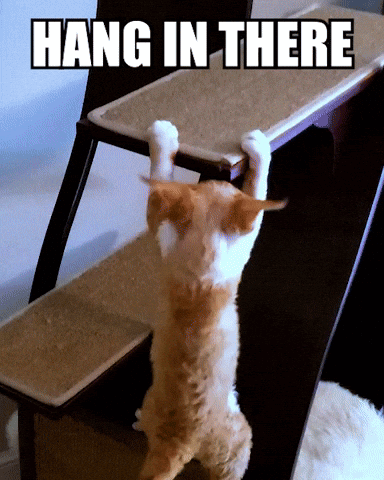 untitled.gif
