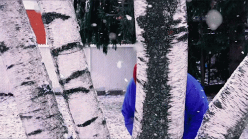 untitled.gif
