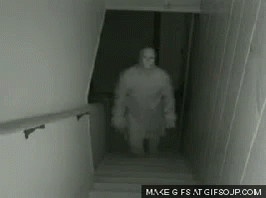 untitled.gif