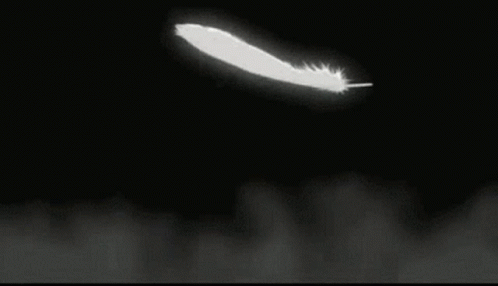 untitled.gif