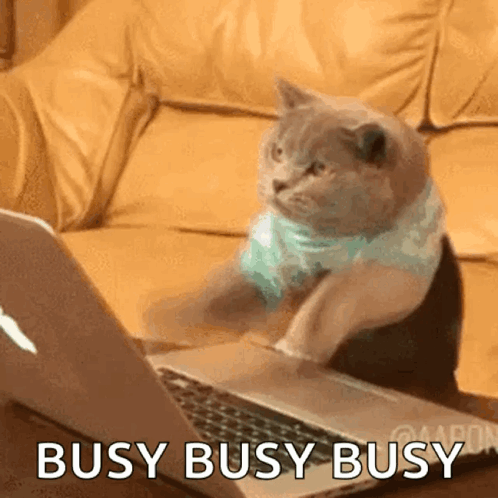 untitled.gif