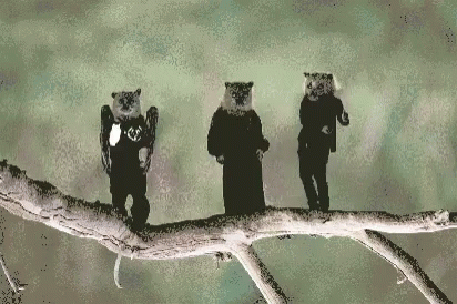 untitled.gif