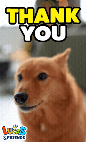 untitled.gif
