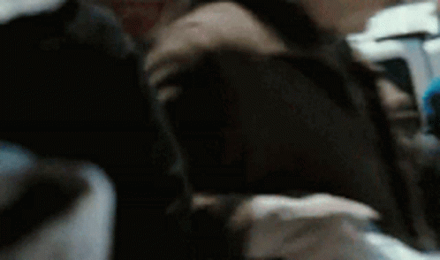 untitled.gif