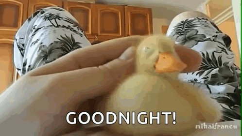 untitled.gif