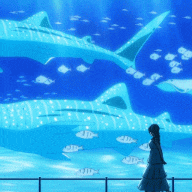 untitled.gif