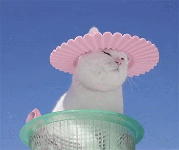 untitled.gif