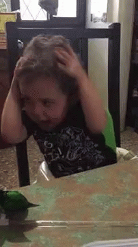 untitled.gif