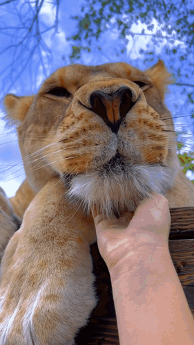 untitled.gif