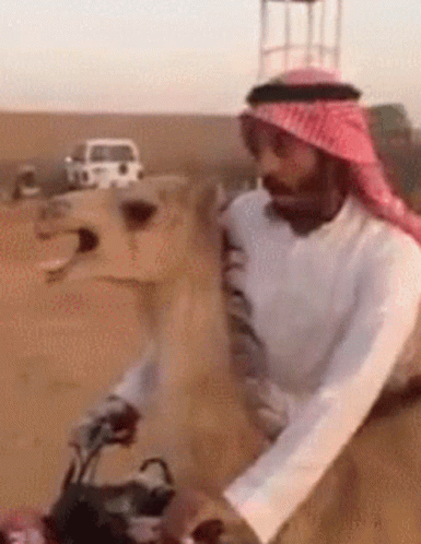 untitled.gif