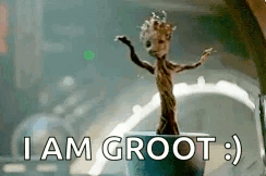 untitled.gif