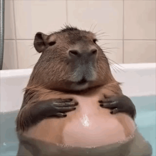 untitled.gif