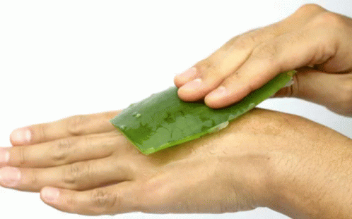 untitled.gif